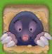 Match 3 Moles